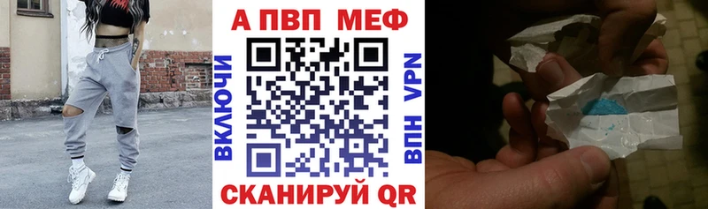 Альфа ПВП СК  Кингисепп 