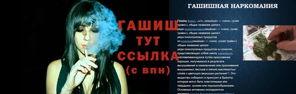сатива Волосово