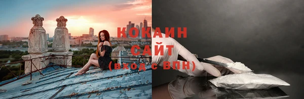 сатива Волосово