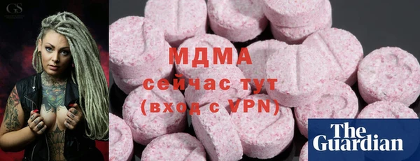 гидра Тайга