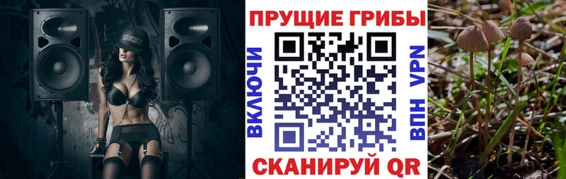 Псилоцибиновые грибы мухоморы Кингисепп