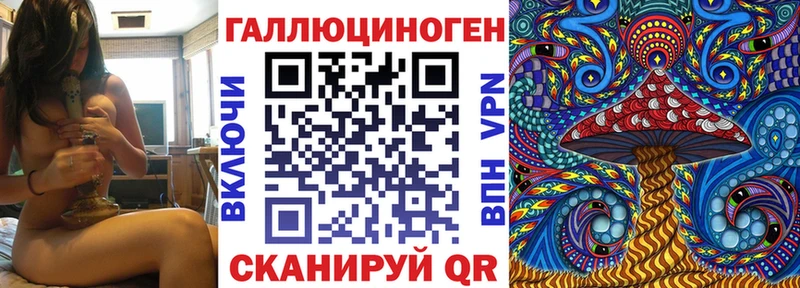 Псилоцибиновые грибы Psilocybine cubensis Кингисепп